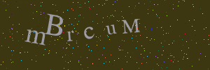 Проверочное изображение