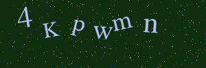 Проверочное изображение